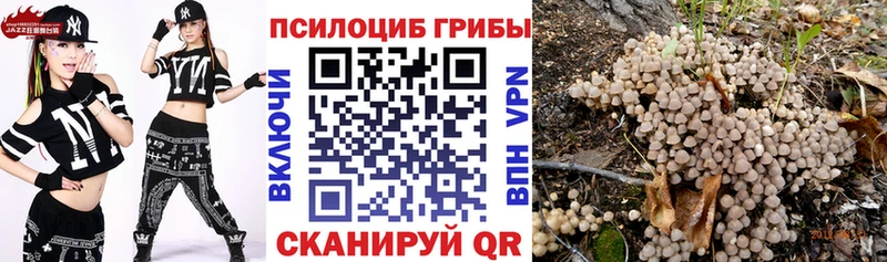Псилоцибиновые грибы Magic Shrooms  blacksprut tor  Кисловодск 