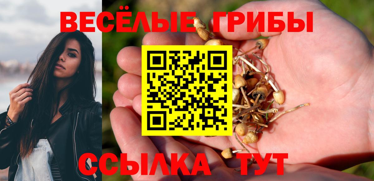 Псилоцибиновые грибы Psilocybe  Псилоцибиновые грибы мицелий  закладки  Кисловодск  Вход с VPN 