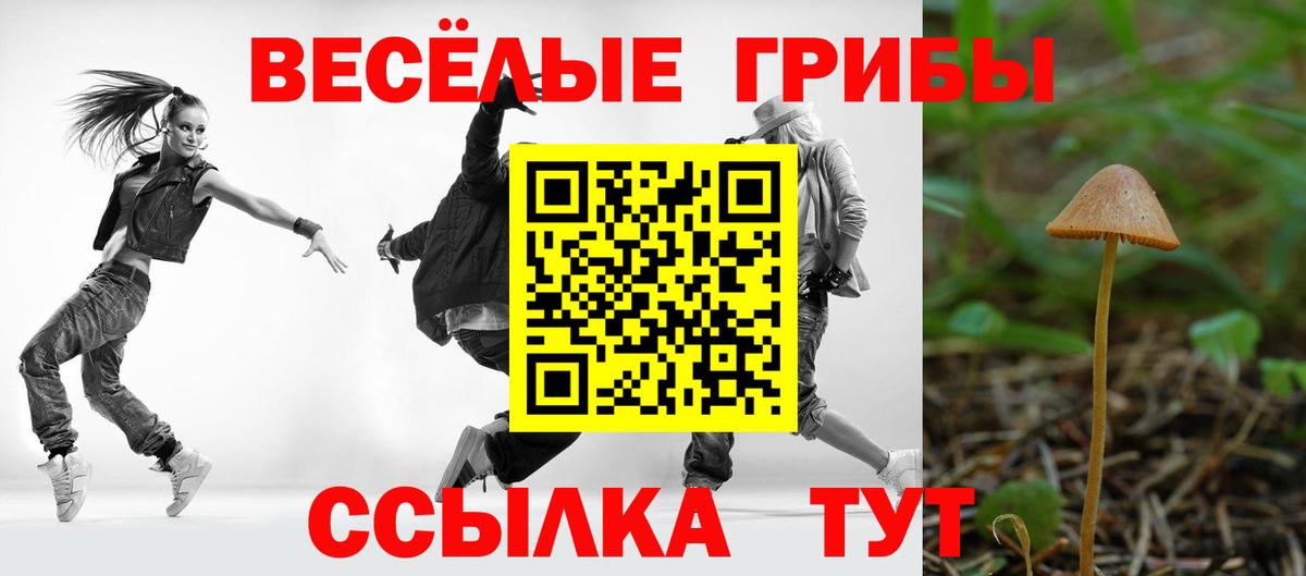 Галлюциногенные грибы прущие грибы Кисловодск